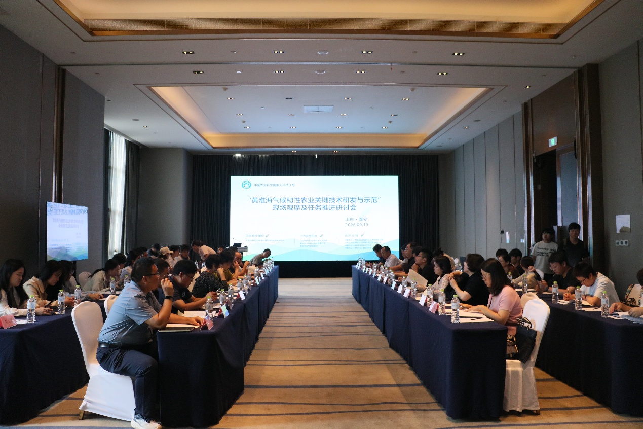 给黄淮海粮仓穿上“韧性铠甲”，气候韧性农业关键技术在泰安集成示范