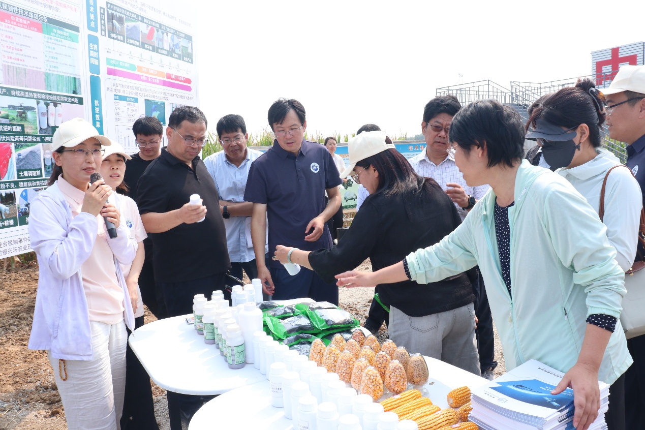 给黄淮海粮仓穿上“韧性铠甲”，气候韧性农业关键技术在泰安集成示范