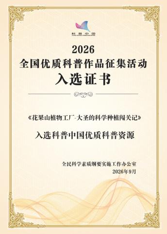 90fa57e0-207f-4fae-89cd-9853c7a2e90a.png